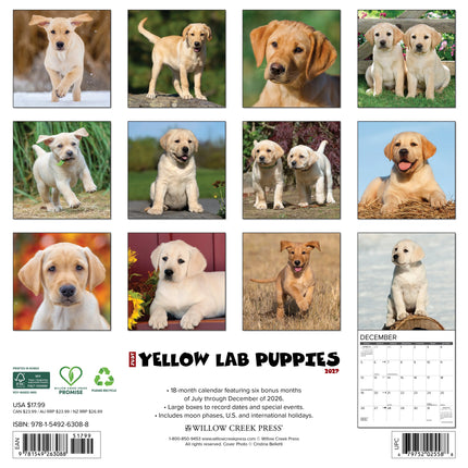 Willow Creek Labrador Retriever Blond Puppies Kalender 2027