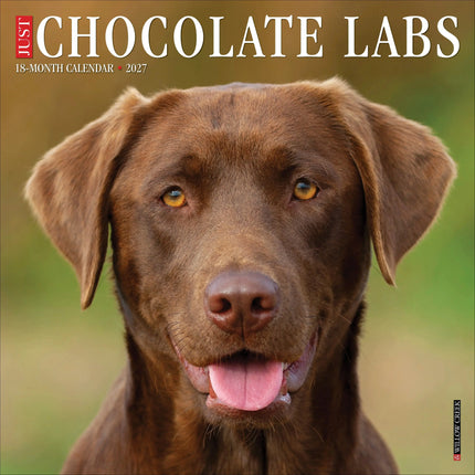 Willow Creek Labrador Retriever Bruin Kalender 2027