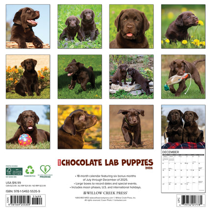 Willow Creek Labrador Retriever Bruin Puppies Kalender 2026