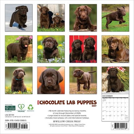 Willow Creek Labrador Retriever Bruin Puppies Kalender 2027