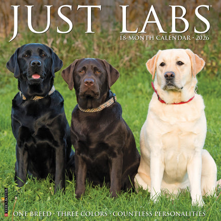 Willow Creek Labrador Retriever Kalender 2026