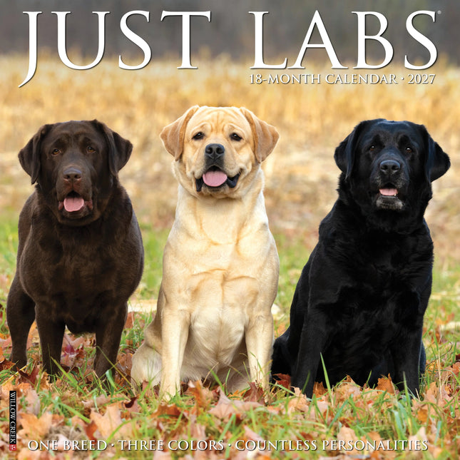 Willow Creek Labrador Retriever Mixed Kalender 2027