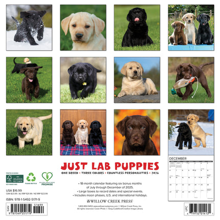 Willow Creek Labrador Retriever Puppies Kalender 2026