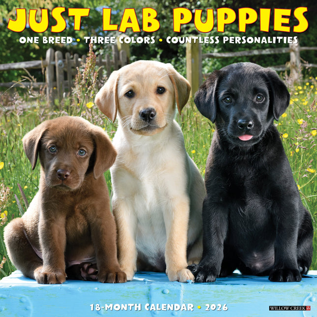 Willow Creek Labrador Retriever Puppies Kalender 2027