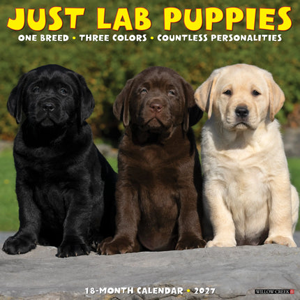 Willow Creek Labrador Retriever Puppies Kalender 2027