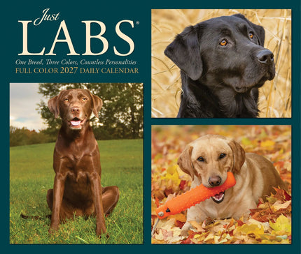 Willow Creek Labrador Retriever Scheurkalender 2027 Boxed