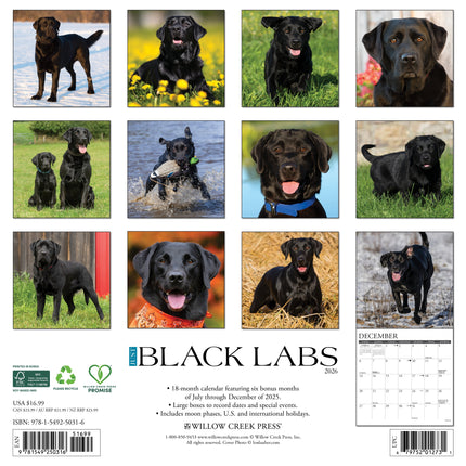 Willow Creek Labrador Retriever Zwart Kalender 2026