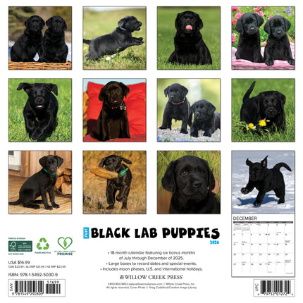 Willow Creek Labrador Retriever Zwart Puppies Kalender 2026