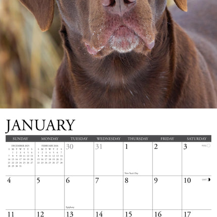 Willow Creek Labradors op Jacht Kalender 2026