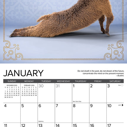 Willow Creek Lama Yoga Kalender 2026