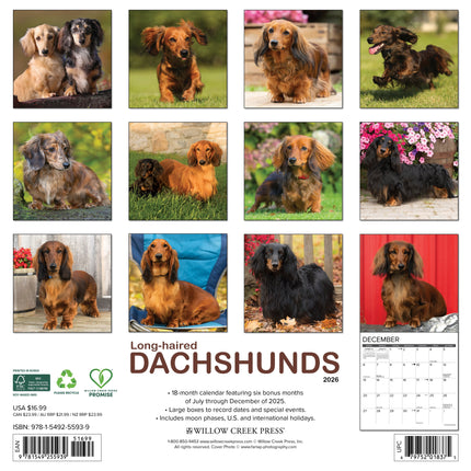 Willow Creek Langharige Teckels Kalender 2026