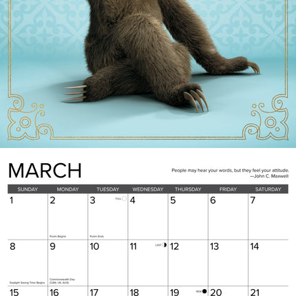 Willow Creek Luiaard Yoga Kalender 2026