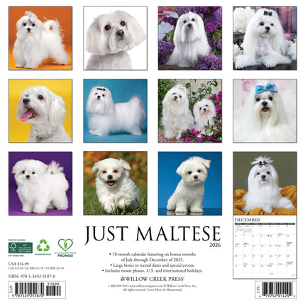 Willow Creek Maltezer Kalender 2026