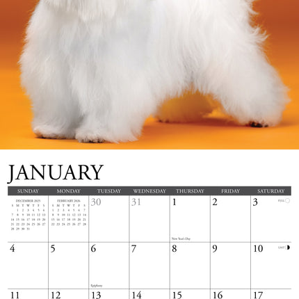 Willow Creek Maltezer Kalender 2026