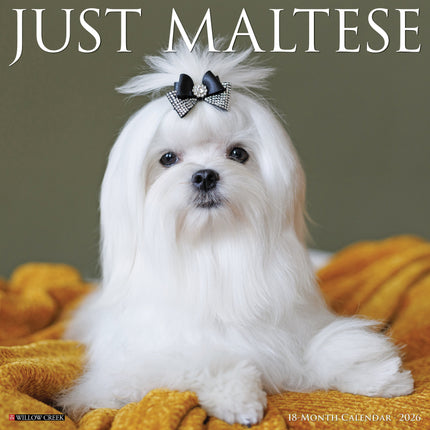 Willow Creek Maltezer Kalender 2026