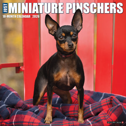 Willow Creek Miniatuur Pinscher Kalender 2026