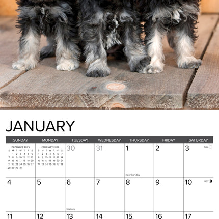Willow Creek Miniatuur Schnauzer Kalender 2026