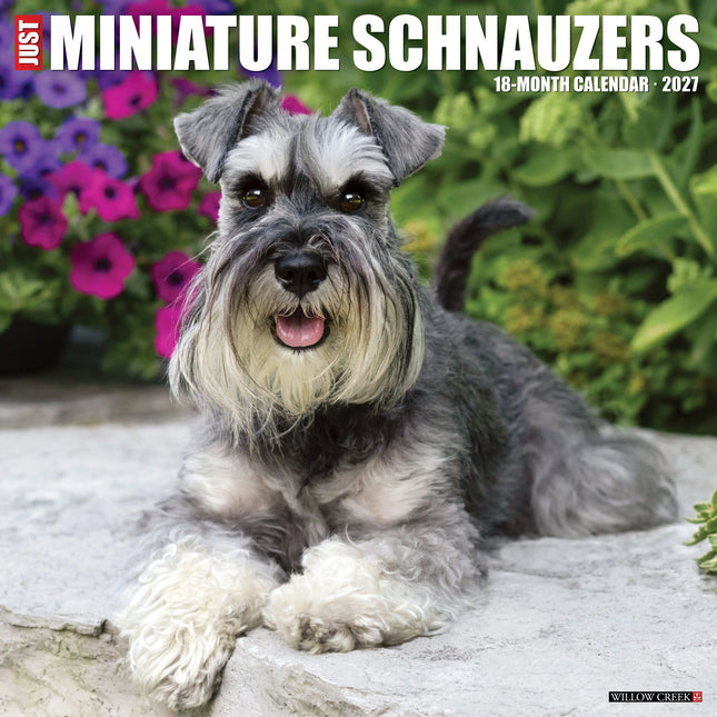 Willow Creek Miniatuur Schnauzer Kalender 2027