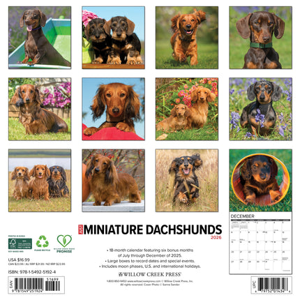 Willow Creek Miniatuur Teckel Kalender 2026