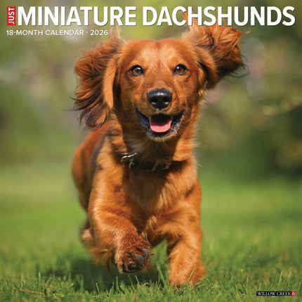 Willow Creek Miniatuur Teckel Kalender 2026