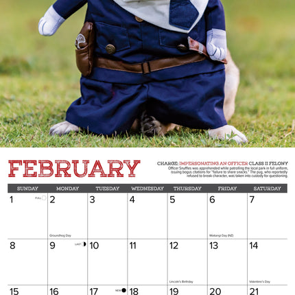Willow Creek Mopshond Kalender 2026