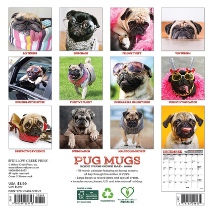 Willow Creek Mopshond Kalender 2026 Mini