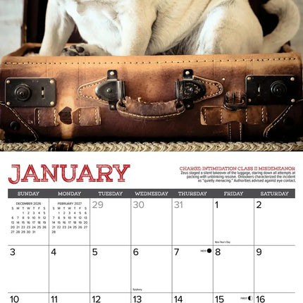 Willow Creek Mopshond Kalender 2027