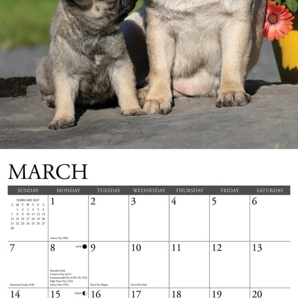 Willow Creek Mopshond Kalender 2027