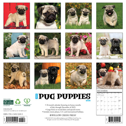 Willow Creek Mopshond Puppies Kalender 2026