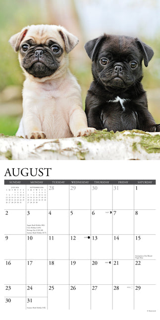 Willow Creek Mopshond Puppies Kalender 2026