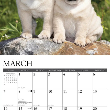 Willow Creek Mopshond Puppies Kalender 2027
