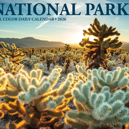 Willow Creek National Parks Scheurkalender 2026 Boxed