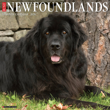 Willow Creek Newfoundlander Kalender 2026