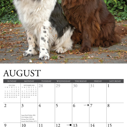 Willow Creek Newfoundlander Kalender 2026
