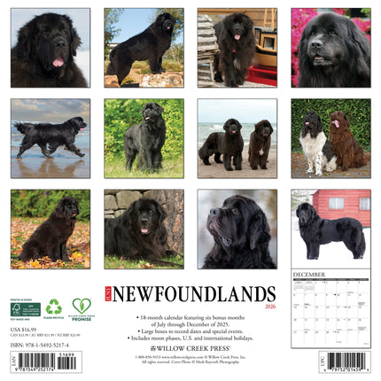 Willow Creek Newfoundlander Kalender 2026