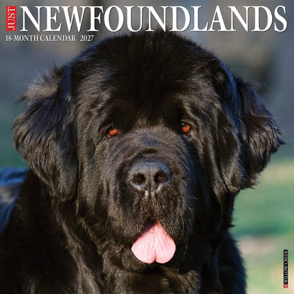Willow Creek Newfoundlander Kalender 2027