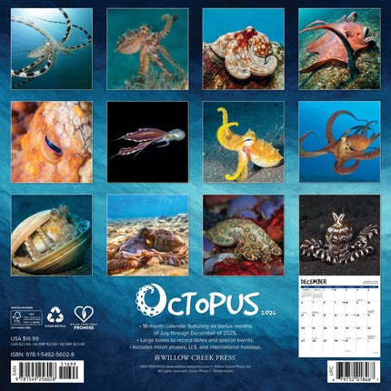Willow Creek Octopus Kalender 2026
