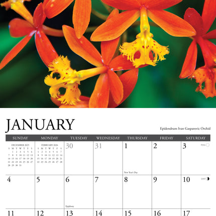 Willow Creek Orchidee Kalender 2026