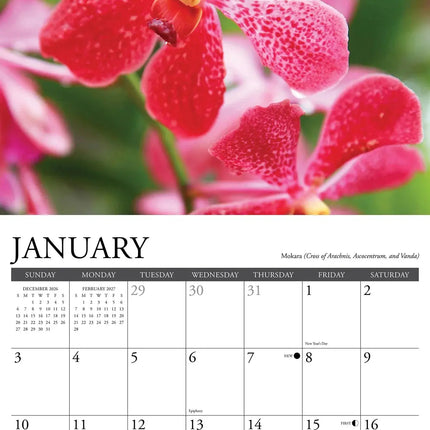 Willow Creek Orchidee Kalender 2027