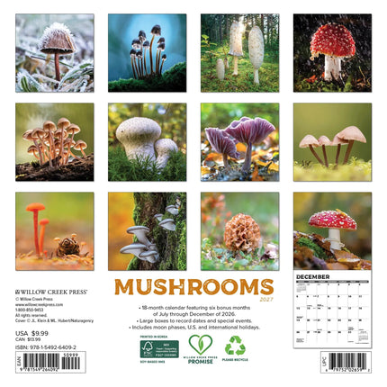 Willow Creek Paddenstoelen Kalender 2027 Mini