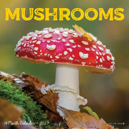 Willow Creek Paddenstoelen Kalender 2027 Mini