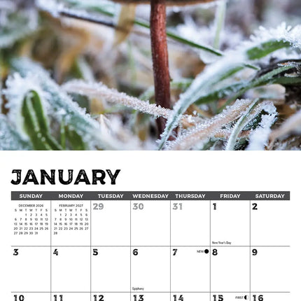 Willow Creek Paddenstoelen Kalender 2027 Mini