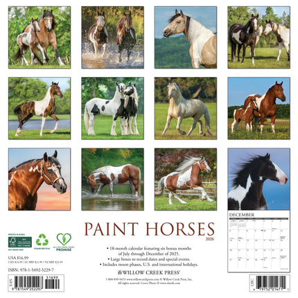 Willow Creek Paint Horses Kalender 2026