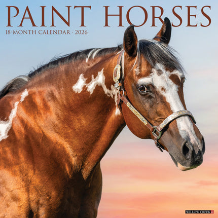 Willow Creek Paint Horses Kalender 2027