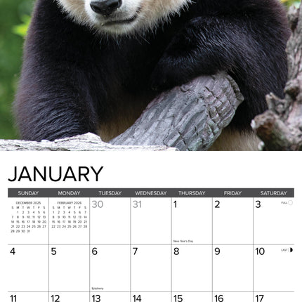 Willow Creek Panda Kalender 2026