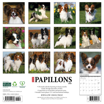 Willow Creek Papillon Kalender 2026