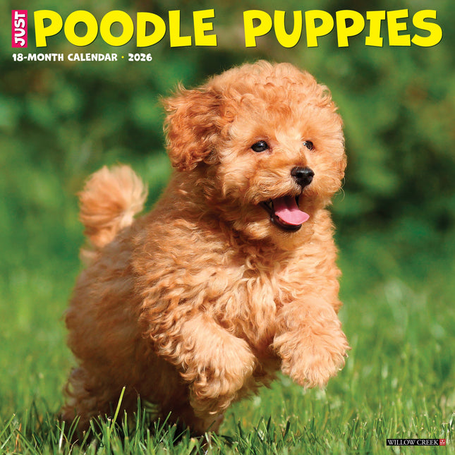 Willow Creek Poedel Puppies Kalender 2026
