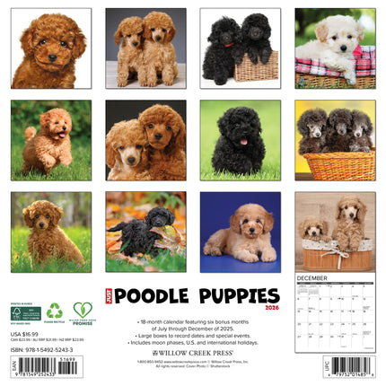 Willow Creek Poedel Puppies Kalender 2026
