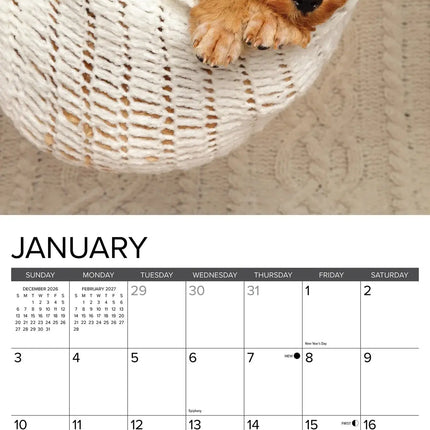 Willow Creek Poedel Puppies Kalender 2027