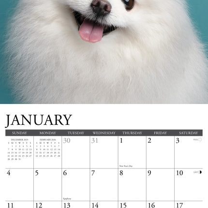 Willow Creek Pomeriaan Kalender 2026